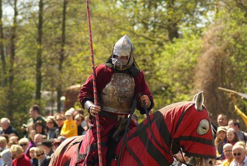 Medieval Knight